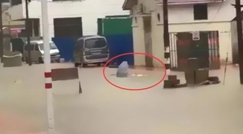 �꼾�����|�